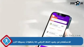 للاستعلام عن رصيد الخط الأرضي we بخطوات بسيطة الآن